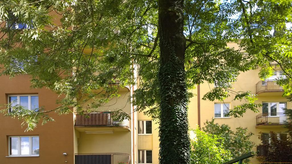 W Krakowie * Krakow